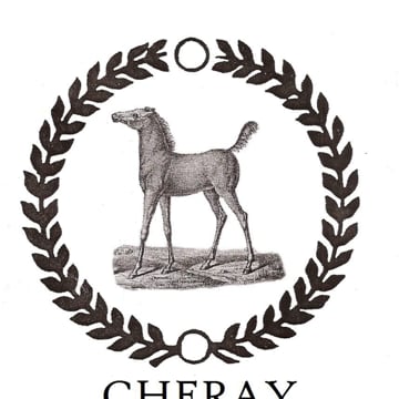 Vimeo profile picture for @equestrian