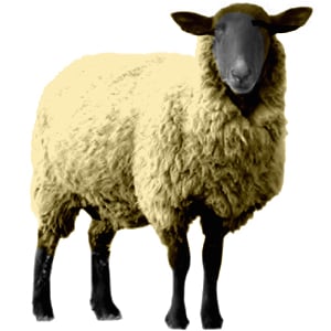 Profile picture for Shepherds Markets
