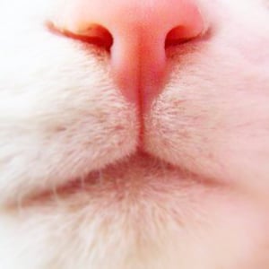 Profile picture for yoshiko dokyu