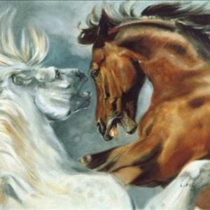 Profile picture for Actionhorse Blog