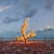 Murray Fredericks