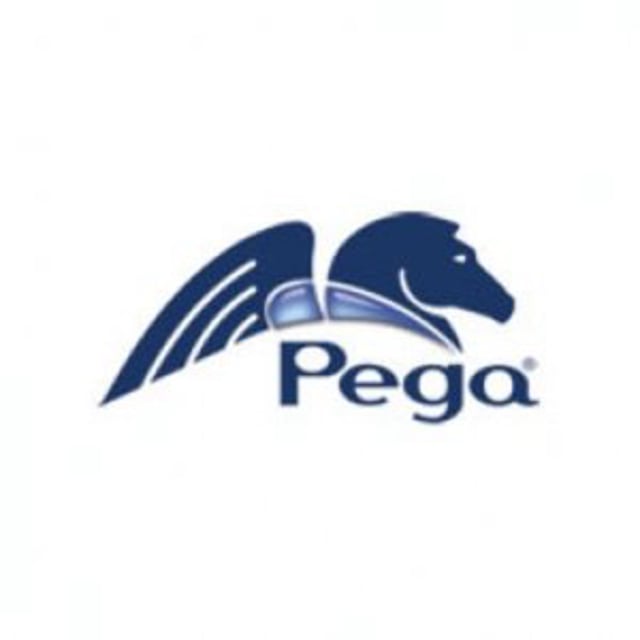 PEGACPDC88V1 Online Tests