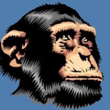 Vimeo profile picture for @moh