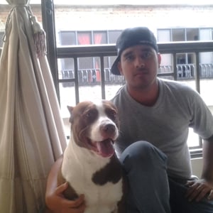 Profile picture for dave cardona