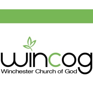 Profile picture for Wincog