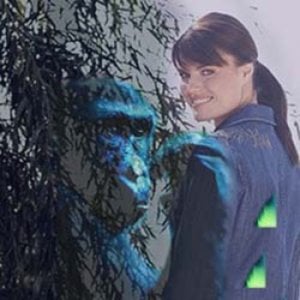 Profile picture for Taranak