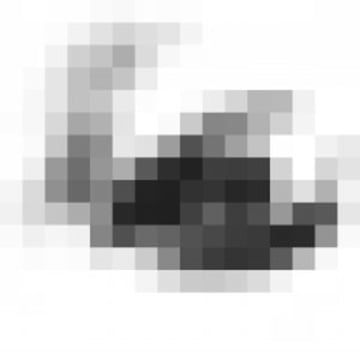 Vimeo profile picture for @nega
