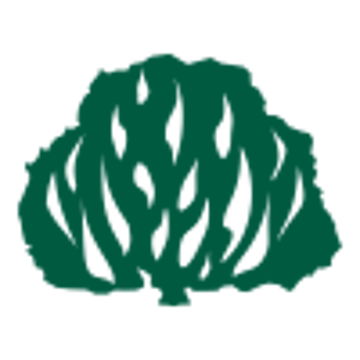 Vimeo profile picture for @ipb