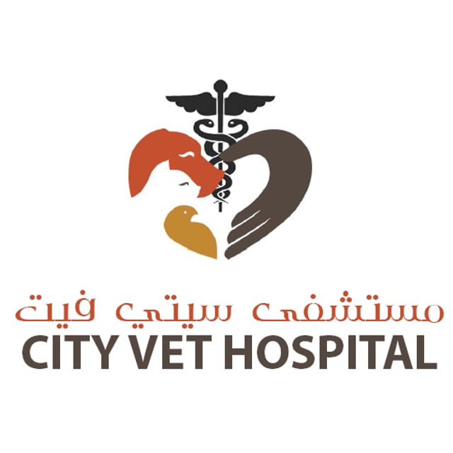 City Vet Hospital