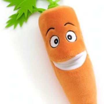 Vimeo profile picture for @carrots