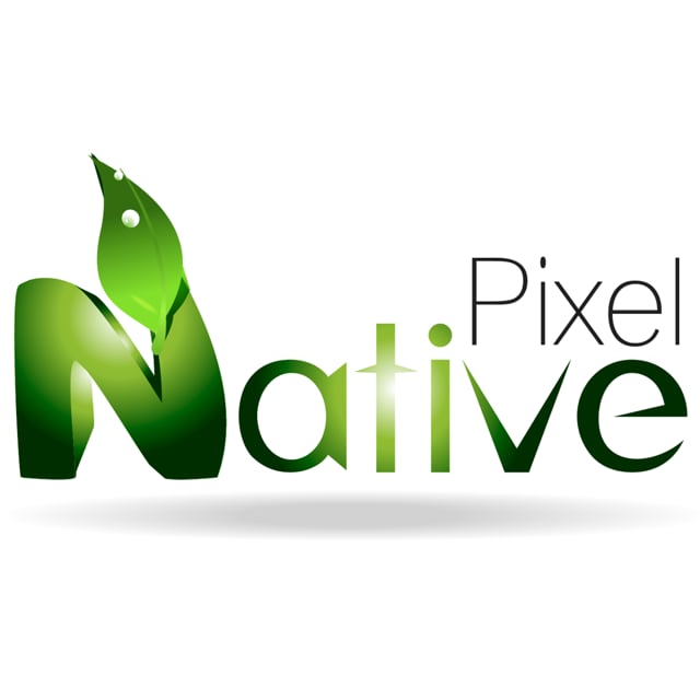 Native Pixel