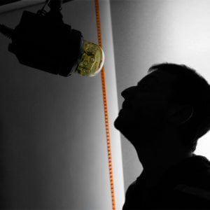 Profile picture for Ognjen Odobasic