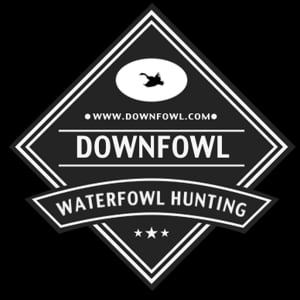 Profile picture for Downfowl