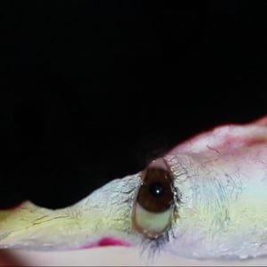 Profile picture for Eleanor Fogg