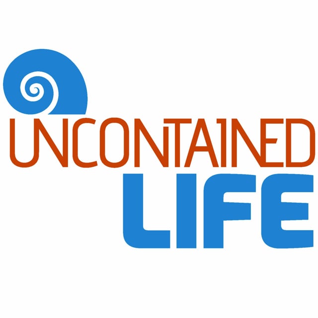 life uncontained shirts