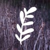 Collective Plant