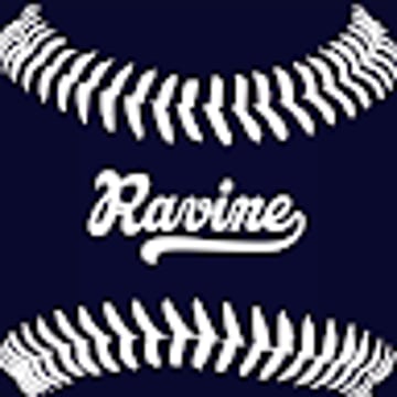 Vimeo profile picture for @ravine