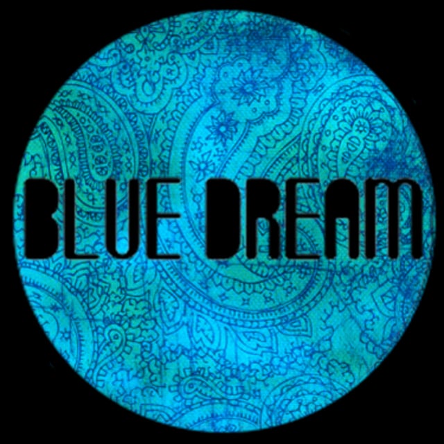 Blue Dream. Blue Dream Studios. Blue Dream Volume won. Blue Dream Media карты.