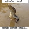 kind Crocodile