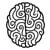 Nucco Brain
