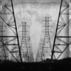 Ron Bailey | StudioElevenTen