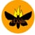 Moth to Flame Films