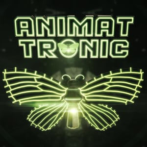 Profile picture for Matt Akin
