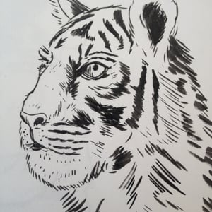 Profile picture for Corrinne Theodoru