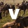 Votiv Earth