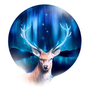 Profile picture for DREAM WEDDING FILMS