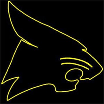Vimeo profile picture for @wildcat