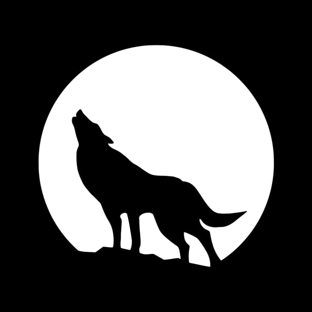 shadow-side-films-editor