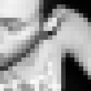 Profile picture for Michael Heyman