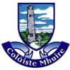 Colaiste Mhuire Johnstown