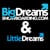 Big Dreams Snowboarding