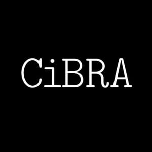 Profile picture for Festival CiBRA
