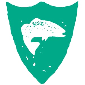 Profile picture for sixtytwoflyfishing.com