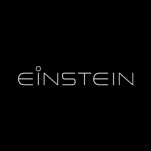 is einstein rich - Ilustrasi 3