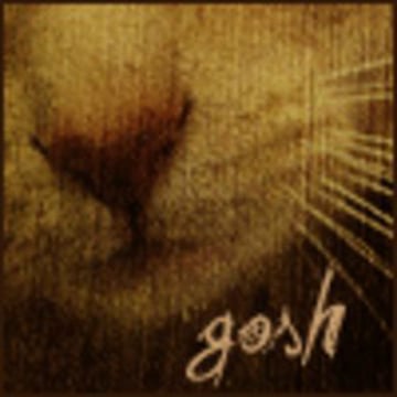 Vimeo profile picture for @gosh
