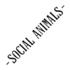 SOCIAL ANIMALS
