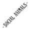 Portrait image for SOCIAL ANIMALS