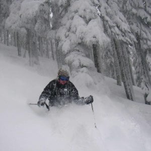 Profile picture for The Snow Troopers