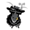 Team BlackSheep