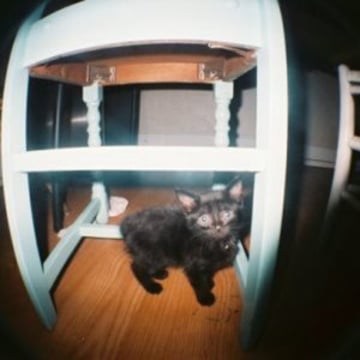 Vimeo profile picture for @monet