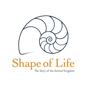 Profile picture for Shape of Life
