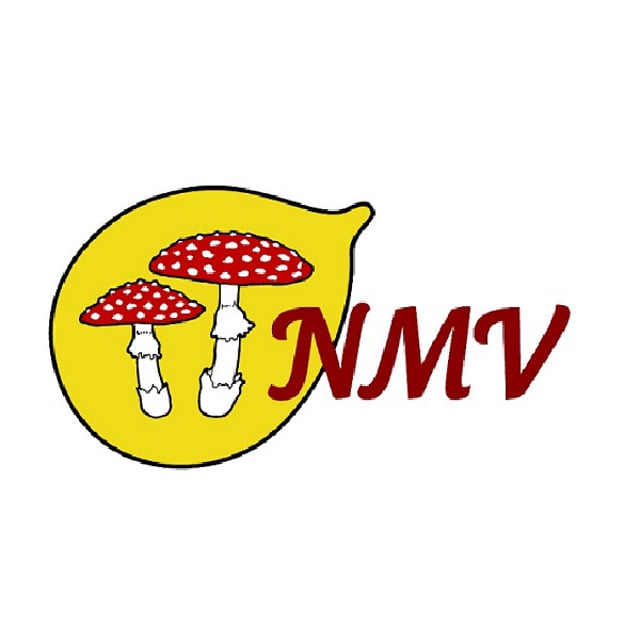 NMV