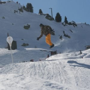 Profile picture for Gwyn Pole