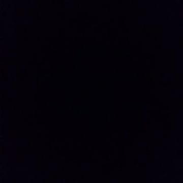 Vimeo profile picture for @blackness
