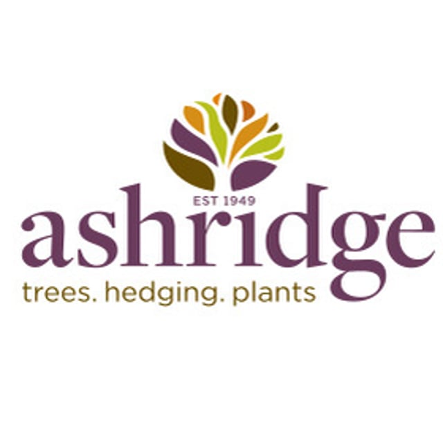 Ashridge Nurseries