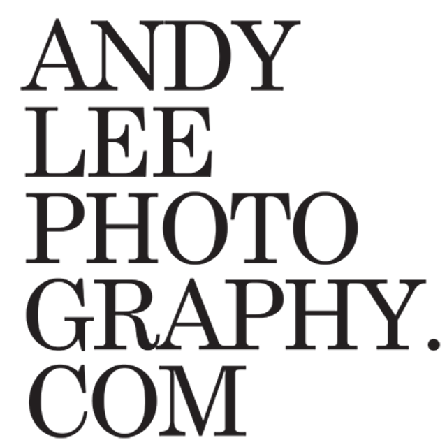 Andy Lee